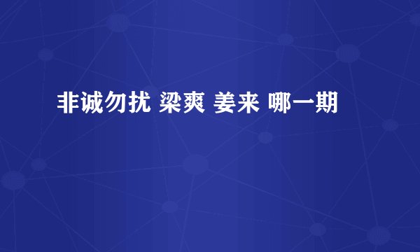 非诚勿扰 梁爽 姜来 哪一期