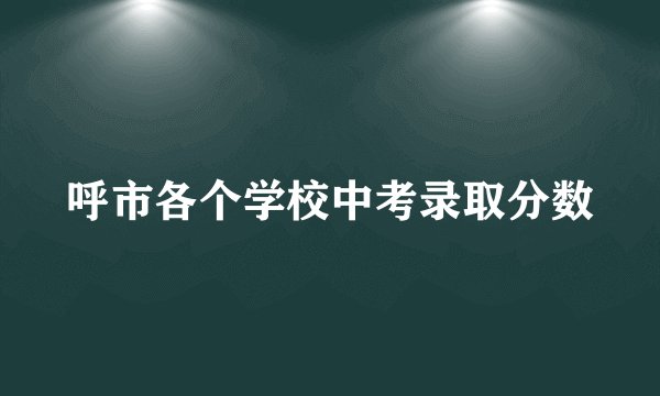 呼市各个学校中考录取分数