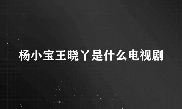 杨小宝王晓丫是什么电视剧