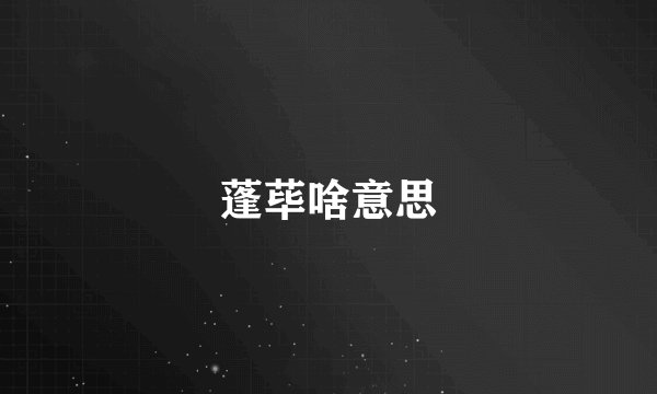 蓬荜啥意思