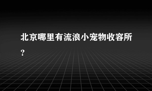 北京哪里有流浪小宠物收容所？