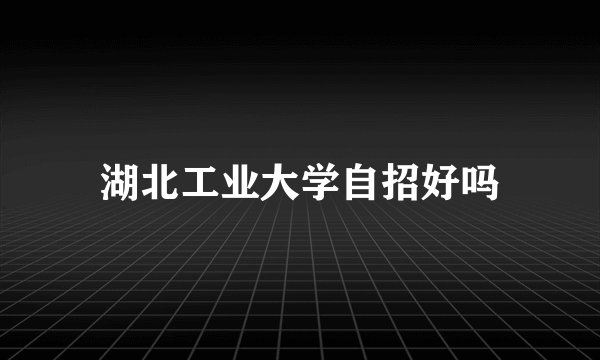 湖北工业大学自招好吗