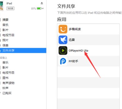 怎么把电脑上的视频放到ipad里