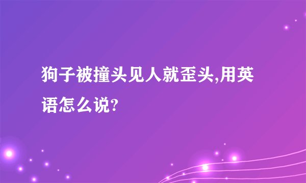 狗子被撞头见人就歪头,用英语怎么说?