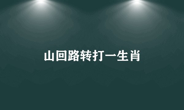 山回路转打一生肖