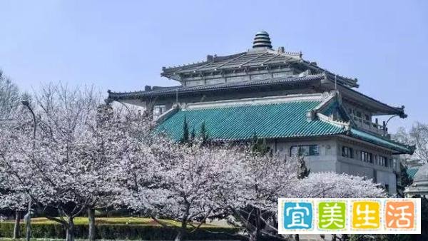 武汉大学拒绝提前放假，恢复线下教学，返乡等于挂科