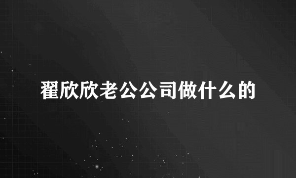 翟欣欣老公公司做什么的