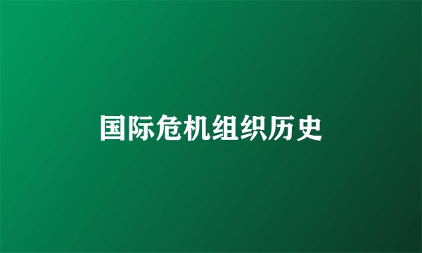国际危机组织历史