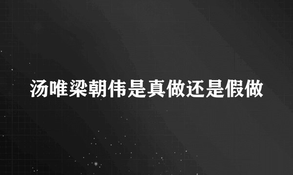 汤唯梁朝伟是真做还是假做