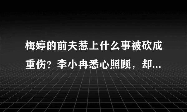 梅婷的前夫惹上什么事被砍成重伤？李小冉悉心照顾，却转身嫁他人