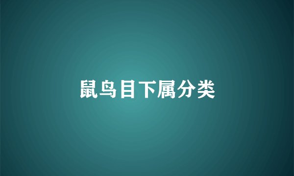 鼠鸟目下属分类