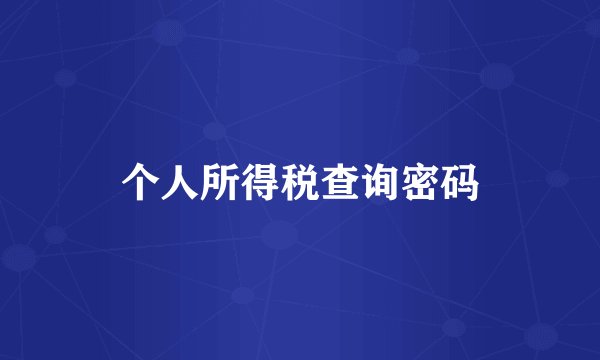 个人所得税查询密码