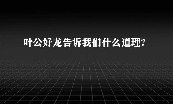 叶公好龙告诉我们什么道理?