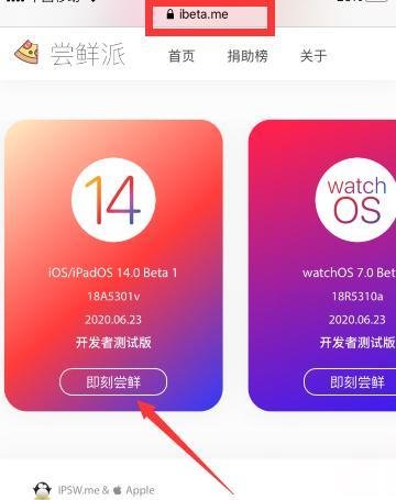苹果手机ios14怎么更新
