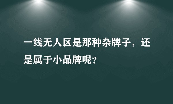 一线无人区是那种杂牌子，还是属于小品牌呢？