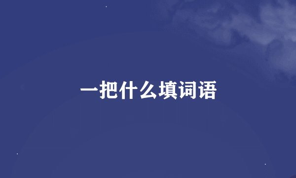 一把什么填词语