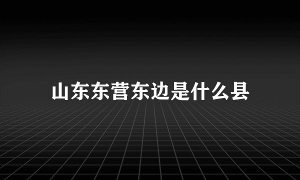 山东东营东边是什么县