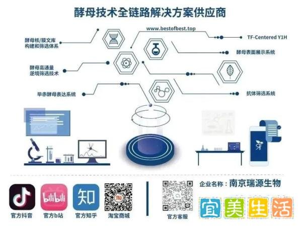 AI模型分析蛋白只知道AlphaFold? 瑞源自主研发AI-PPI模型以超60%准确度预测蛋白互作信息