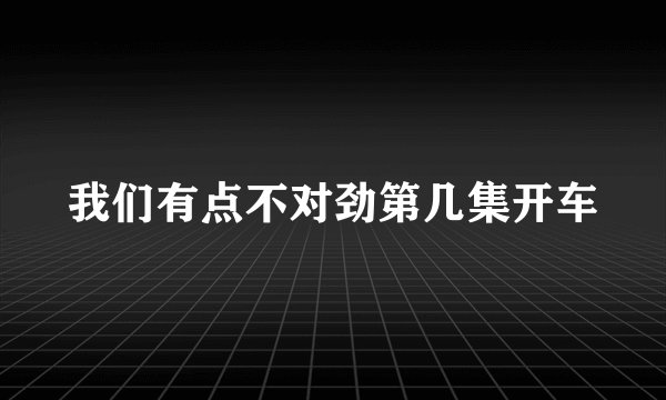 我们有点不对劲第几集开车