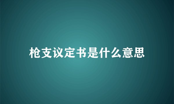 枪支议定书是什么意思