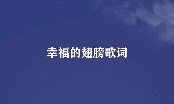 幸福的翅膀歌词