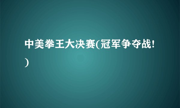 中美拳王大决赛(冠军争夺战!)