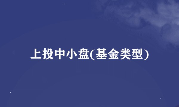 上投中小盘(基金类型)