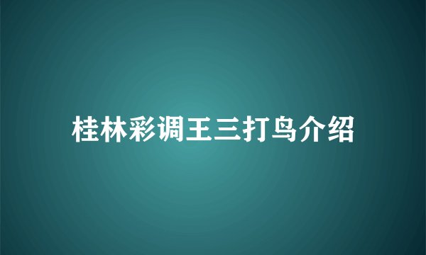 桂林彩调王三打鸟介绍