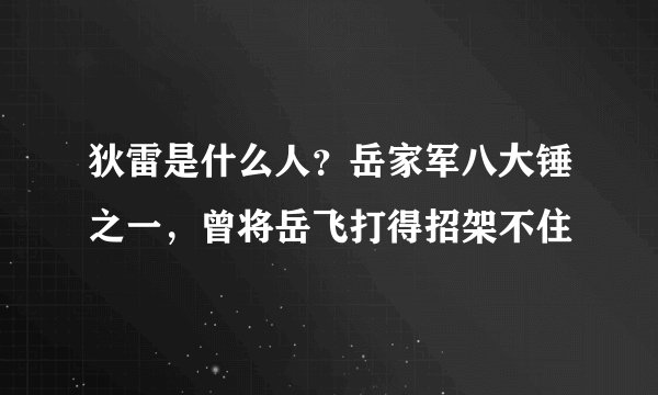 狄雷是什么人？岳家军八大锤之一，曾将岳飞打得招架不住