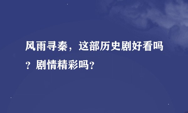 风雨寻秦，这部历史剧好看吗？剧情精彩吗？