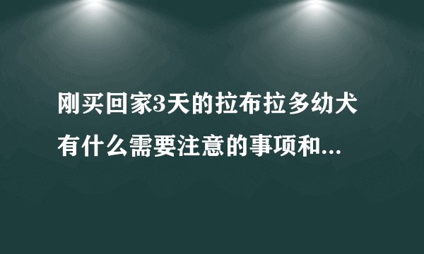 刚买回家3天的拉布拉多幼犬 有什么需要注意的事项和方法.（越详细越好）因为我第一次喂狗狗