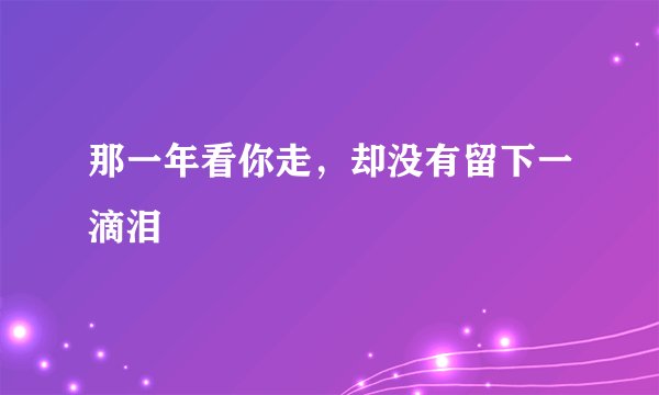 那一年看你走，却没有留下一滴泪