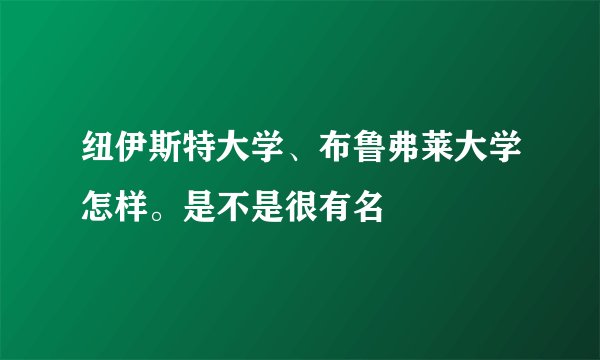 纽伊斯特大学、布鲁弗莱大学怎样。是不是很有名