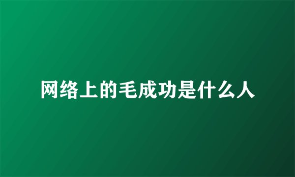 网络上的毛成功是什么人