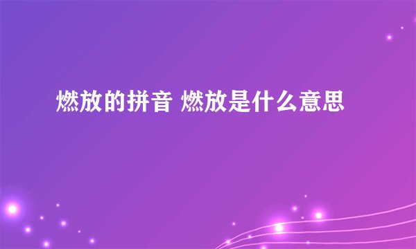 燃放的拼音 燃放是什么意思