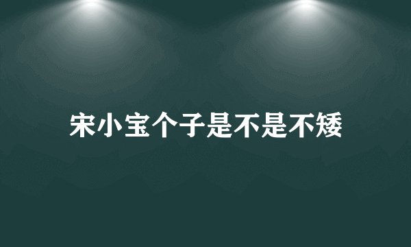 宋小宝个子是不是不矮