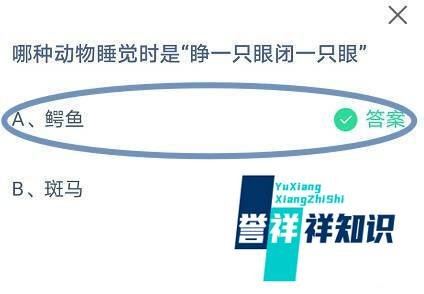 蚂蚁庄园，哪种动物睡觉时是睁一只眼闭一只眼的