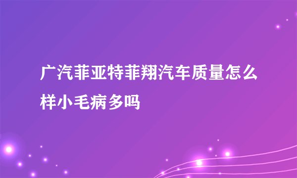 广汽菲亚特菲翔汽车质量怎么样小毛病多吗
