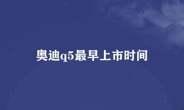奥迪q5最早上市时间