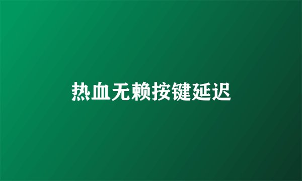 热血无赖按键延迟