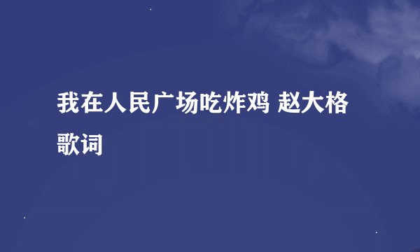 我在人民广场吃炸鸡 赵大格歌词