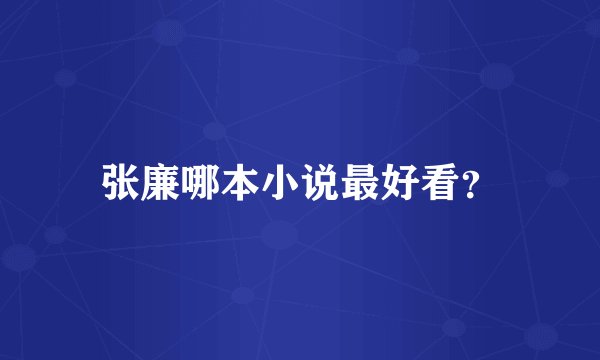 张廉哪本小说最好看?