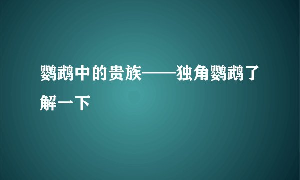 鹦鹉中的贵族——独角鹦鹉了解一下