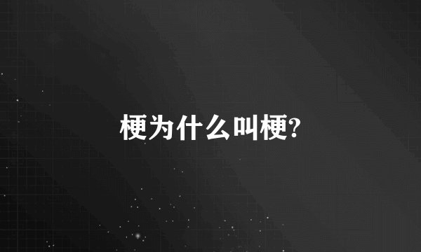 梗为什么叫梗?