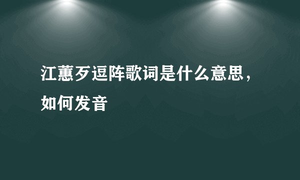 江蕙歹逗阵歌词是什么意思,如何发音