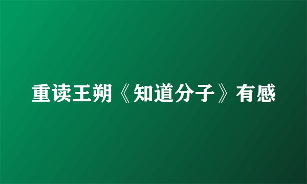 重读王朔《知道分子》有感