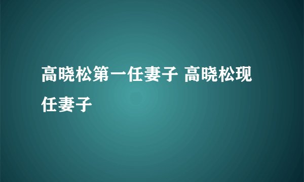 高晓松第一任妻子 高晓松现任妻子