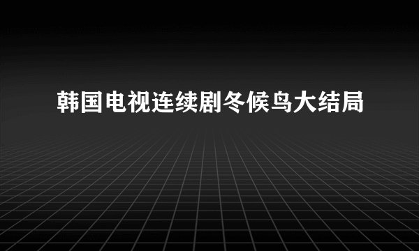 韩国电视连续剧冬候鸟大结局
