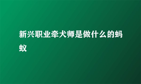 新兴职业牵犬师是做什么的蚂蚁