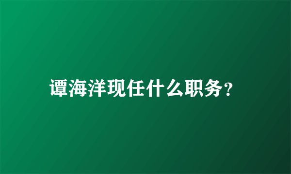 谭海洋现任什么职务？